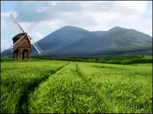 Lasy, Wiatrak, Zboże, Pola, Góry