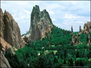 Góra, Las