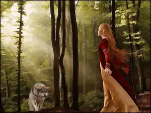 Słońca, Dziewczyna, Wilk, Las, Promienie