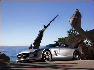 Samochód marki Mercedes Benz AMG pod suchymi pniami drzewa na tle morza
