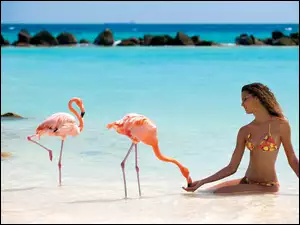 Kobieta, Flamingi