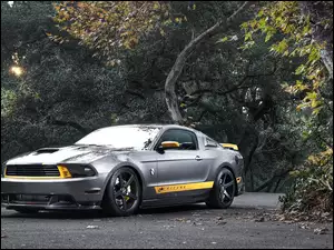 Ford, Drzewa, Mustang, Droga