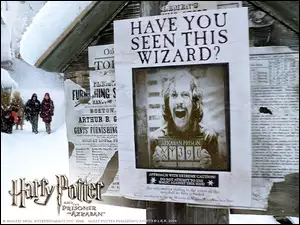 Gary Oldman, harry potter