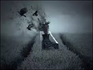 Kobieta w zbożu i latające kruki w mrocznej scenerii