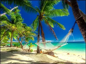 Palmy, Morze, Tropikalna, Lato, Plaża, Hamak