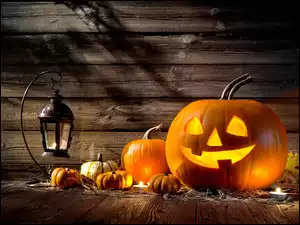 Halloween, Dynie, Lampion