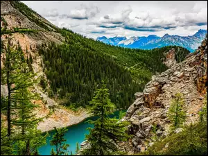 Kanion, Chmuy, Jezioro, Las