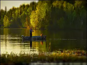 Wędkarz, Drzewa, Jezioro, Wędkowanie, Łódka, Pies