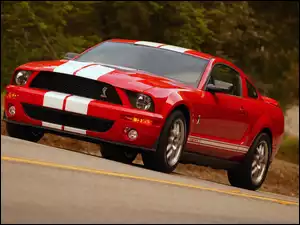 GT 500