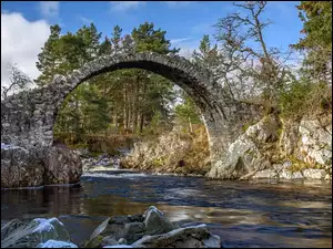 Stary Most Packhorse w Carrbridge