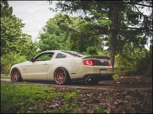 Ford, Mustang