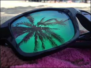 Palma, Piach, Okulary, Fiolet