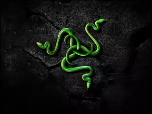 Wężowe graficzne logo amerykańskiego przedsiębiorstwa Razer