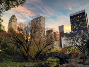 Cedntral, Park, Rzeka, Nowy, Wieżowce, Jork, Most, Manhattan