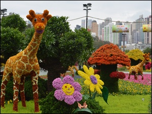 Kolorowy, Kwiaty, Park, Klomby