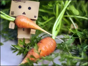 Danbo, Rozmycie, Ogródek, Marchewki