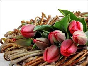 Kwiaty, Wiklina, Bukiet, Tulipany
