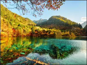 Jezioro Arrow Bamboo Lake w chińskim Parku Narodowym Jiuzhaigou
