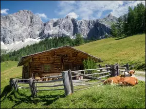 Sielankowy poranek u stóp masywu Dachstein w Alpach austriackich
