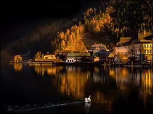Miasteczko Hallstatt z łabędziem na jeziorze