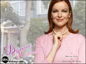 Desperate Housewives, dom, Marcia Cross, korale