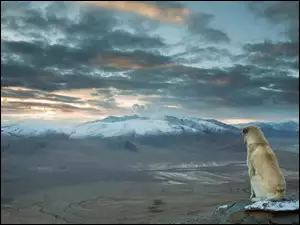 Chmurne niebo nad doliną górską z psem