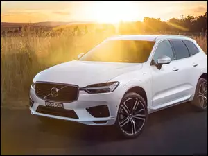 Samochód Volvo XC60 w promieniach słońca
