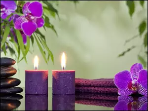 Dekoracja SPA w fioletowym kolorze