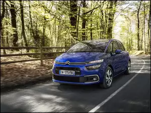 Citroen C4 Picasso na leśnej drodze