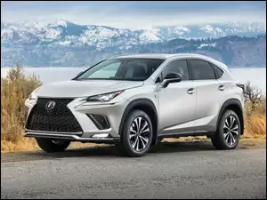 Samochód Lexus NX 300 F Sport 2018