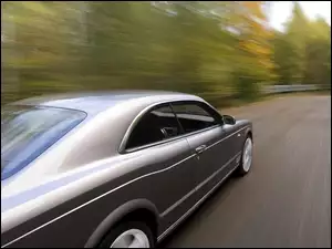 Nadwozia, Bentley Brooklands, Linia