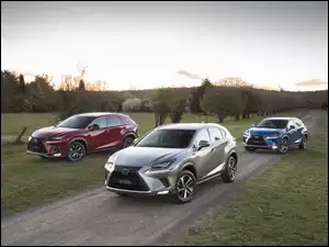 Lexus Trzy 2013-18 NX