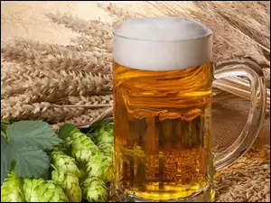 Zboże, Kufel, Piwo