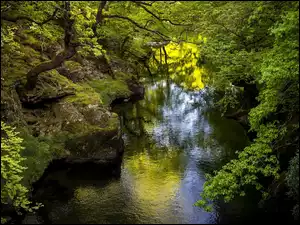 Skały nad rzeką latem