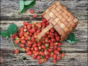 Truskawki z listkami w koszyku