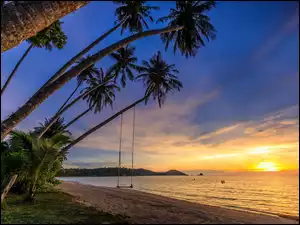 Wschód słońca nad morską plażą z palmami