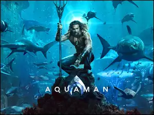 Jason Momoa
