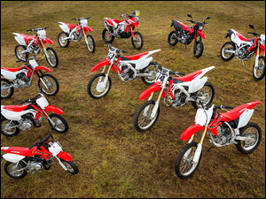 Motocykle Honda na polanie