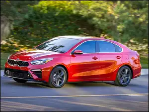 Samochód Kia Forte 2019
