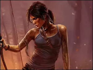 Łuk, Lara, Raider, Kobieta, Tomb, Gra, Croft