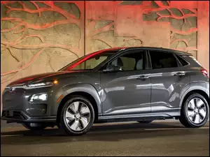 Hyundai Kona Electric 2019