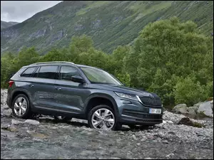 Samochód Skoda Kodiaq 2019
