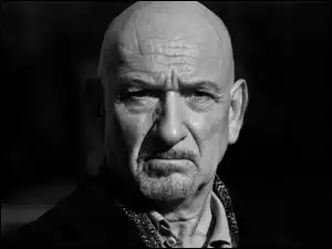 Ben Kingsley, Mężczyzna, Aktor, Twarz