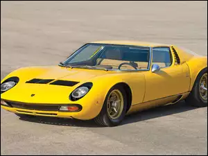 Color Auto Yellow Lamborghini Machine Bright