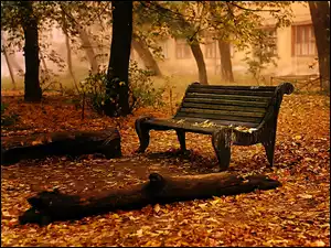 Ławeczka, Park, Jesień