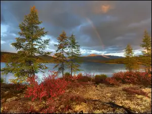 Górskie jezioro Jack London Lake na Kołymie