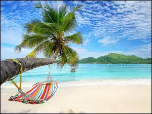 Plaża, Morze, Tropiki, Wakacje, Hamak, Palma, Pochylona