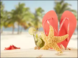 Wakacje, Lato, Japonki, Rozgwiazda, Plaża, Drink