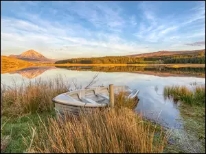 Szczyt Errigal, Jezioro Dunlewey, Irlandia, Góry, Gweedore, Trawy, Łódka