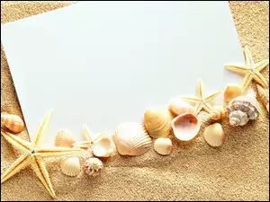 Muszelki, Piasek, Biała, Papieru, Rozgwiazdy, Kartka